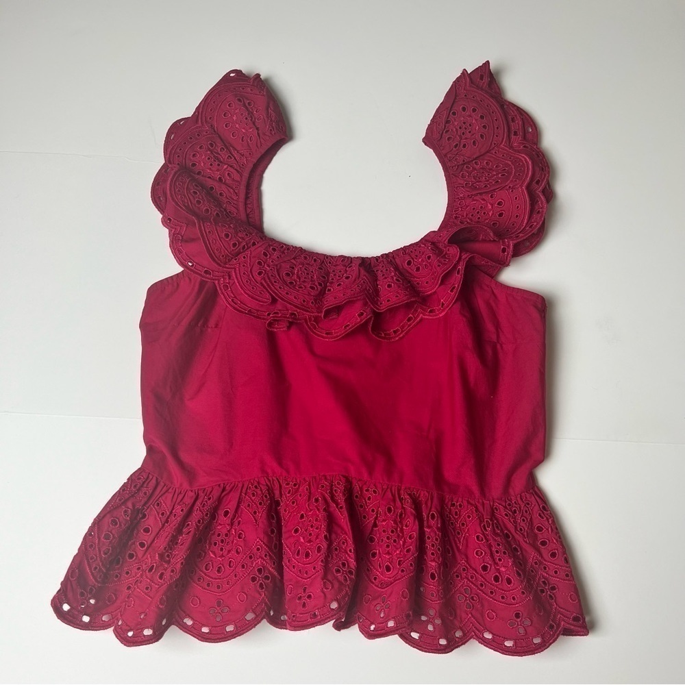 EXPRESS Open Back Eyelet ruffle Peplum Top in Gorgeous Pink Medium NWT - Picture 5 of 9